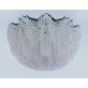 WM0427 Custom Swarovski 